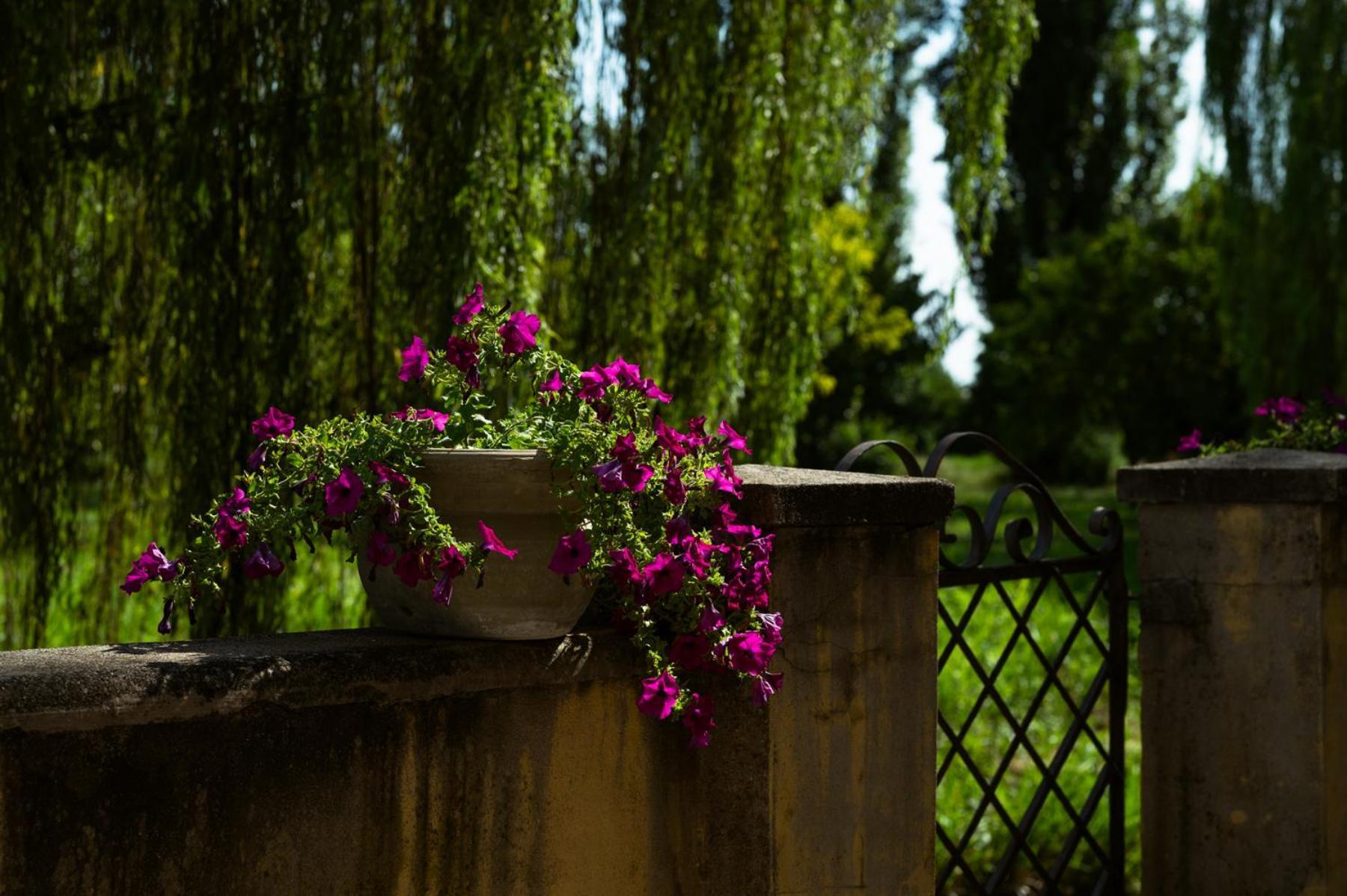 Agriturismo Villa Selvatico Vigonza Buitenkant foto