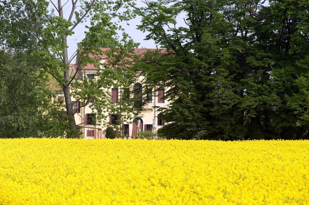 Agriturismo Villa Selvatico Vigonza Buitenkant foto