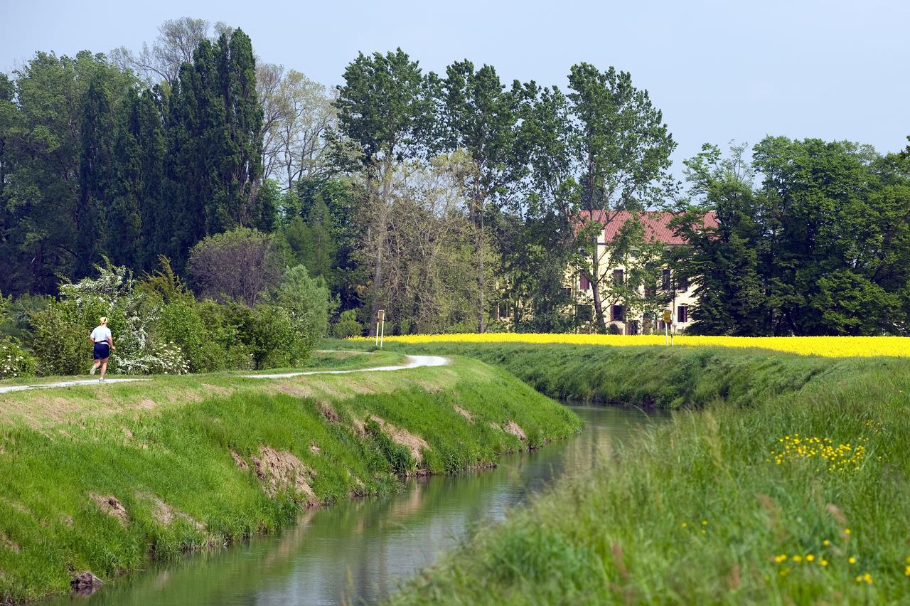 Agriturismo Villa Selvatico Vigonza Buitenkant foto